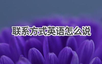 联系方式英语怎么说-580学习网