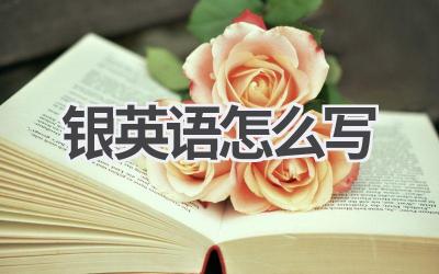银英语怎么写-580学习网