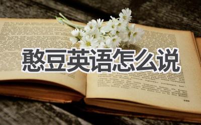 憨豆英语怎么说-580学习网