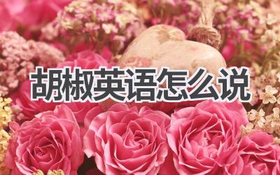 胡椒英语怎么说-580学习网