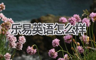 乐易英语怎么样-580学习网