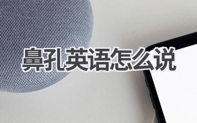 鼻孔英语怎么说-580学习网