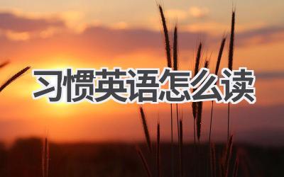 习惯英语怎么读-580学习网