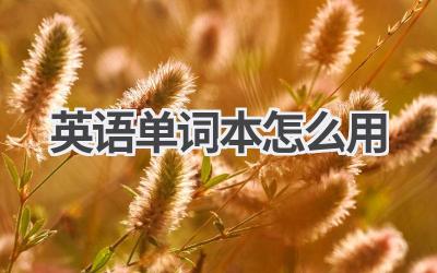 英语单词本怎么用-580学习网