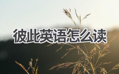 彼此英语怎么读-580学习网