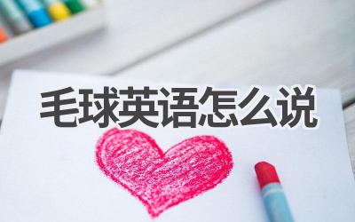 毛球英语怎么说-580学习网