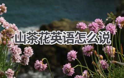 山茶花英语怎么说-580学习网