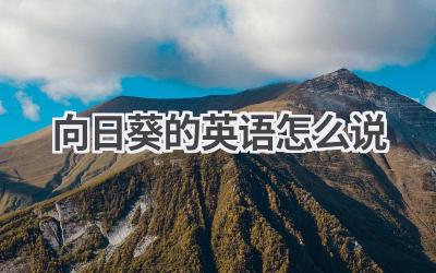 向日葵的英语怎么说-580学习网