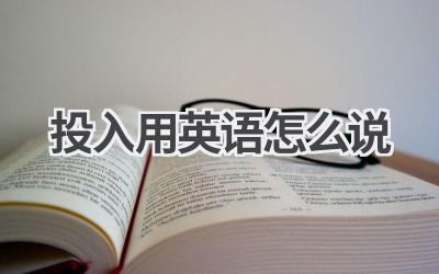 投入用英语怎么说-580学习网