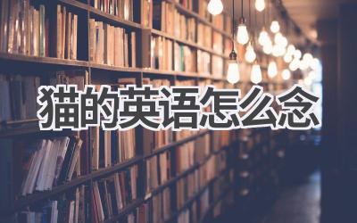 猫的英语怎么念-580学习网