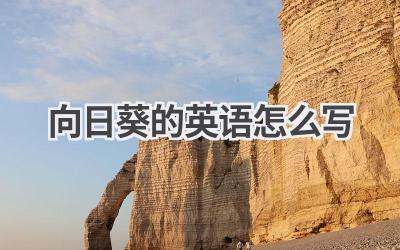 向日葵的英语怎么写-580学习网