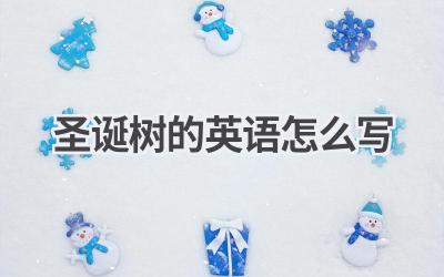 圣诞树的英语怎么写-580学习网