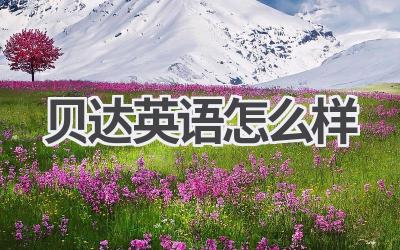 贝达英语怎么样-580学习网