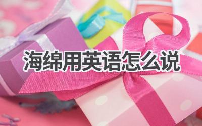 海绵用英语怎么说-580学习网